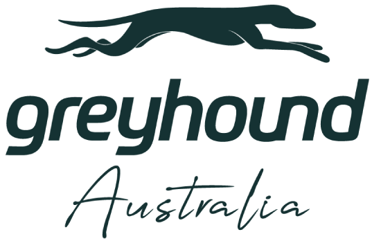 Greyhound Australia